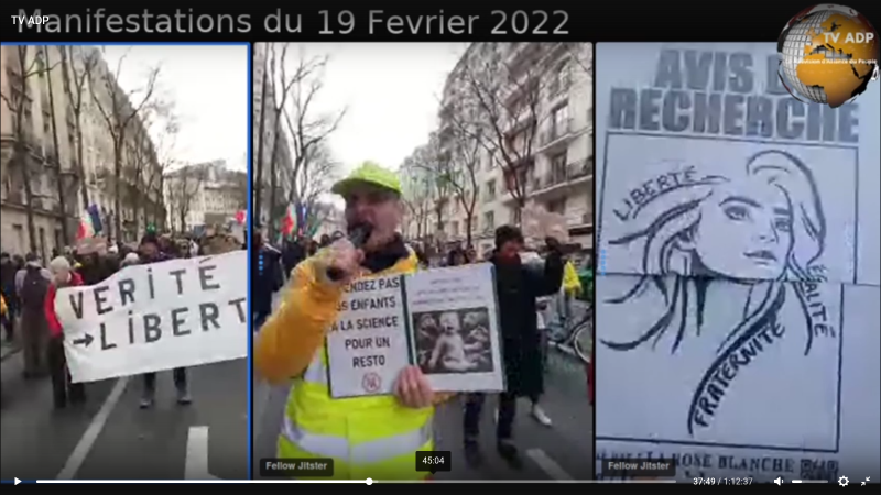 Manifestation du 19 février 2022  à Lyon