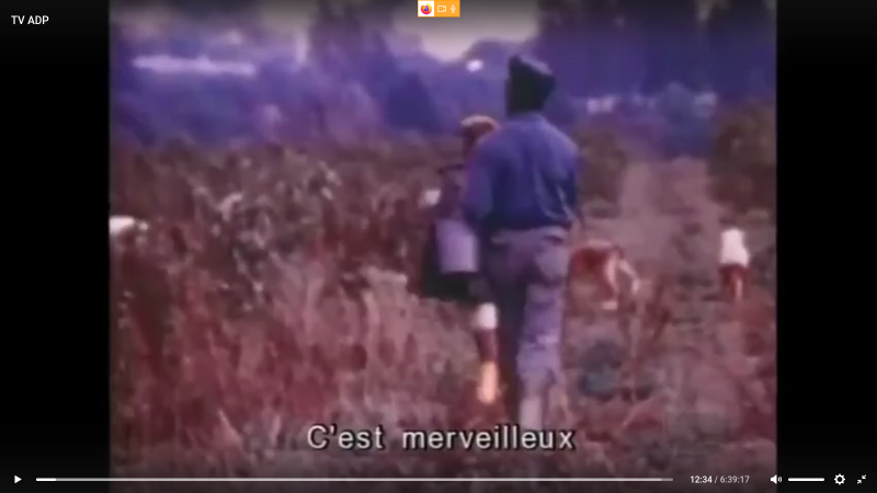 Dimanche 27 Février 2022