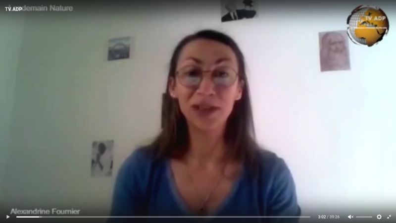 Lendemain nature – Formation des soins Énergétiques